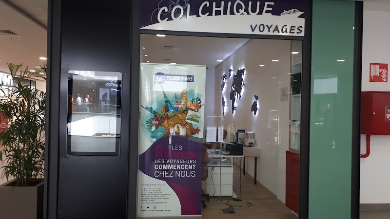 Colchique voyage