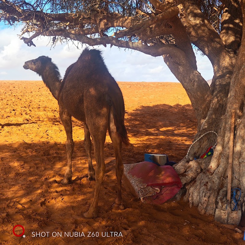 Anna & layla travel