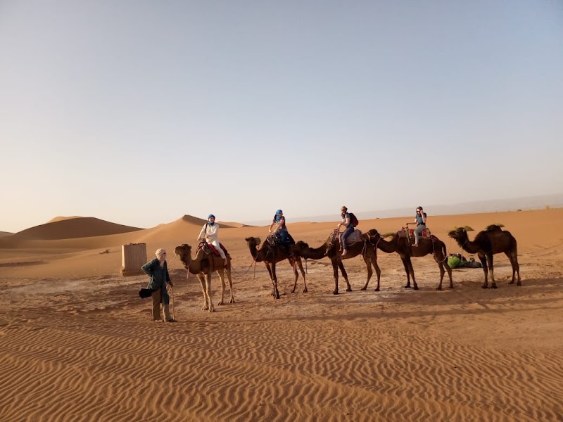 desert stars tours