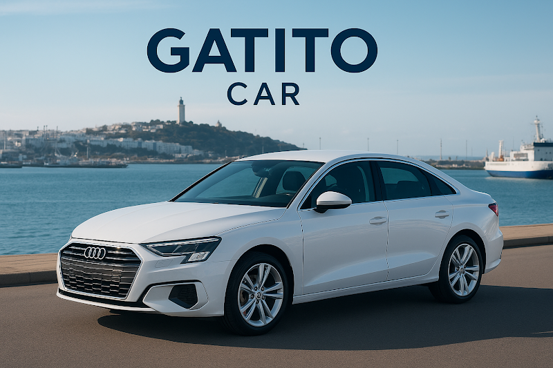 GATITO Car