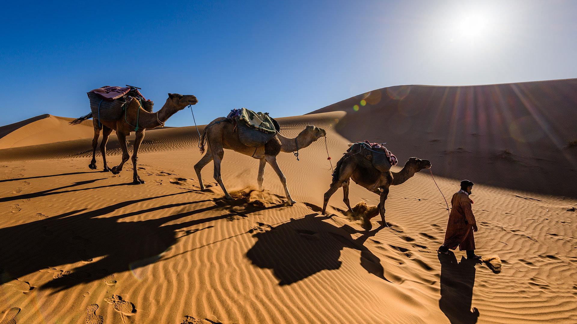 Desert Day Tours