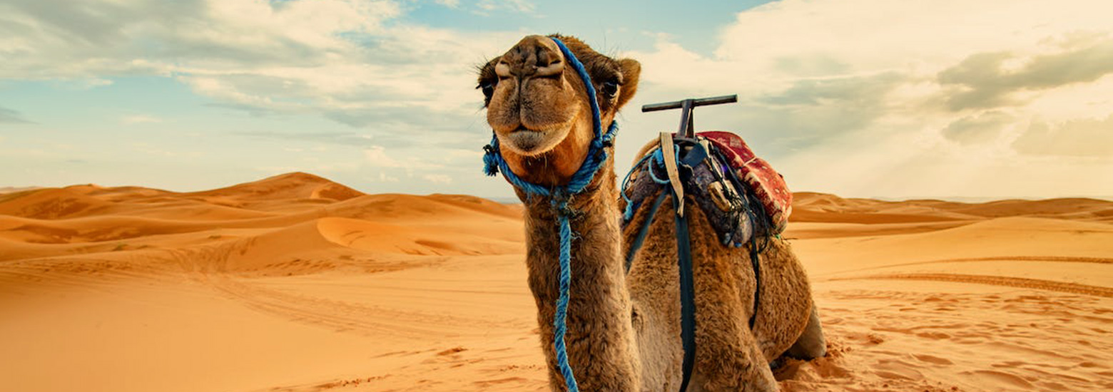 Darkom Voyages