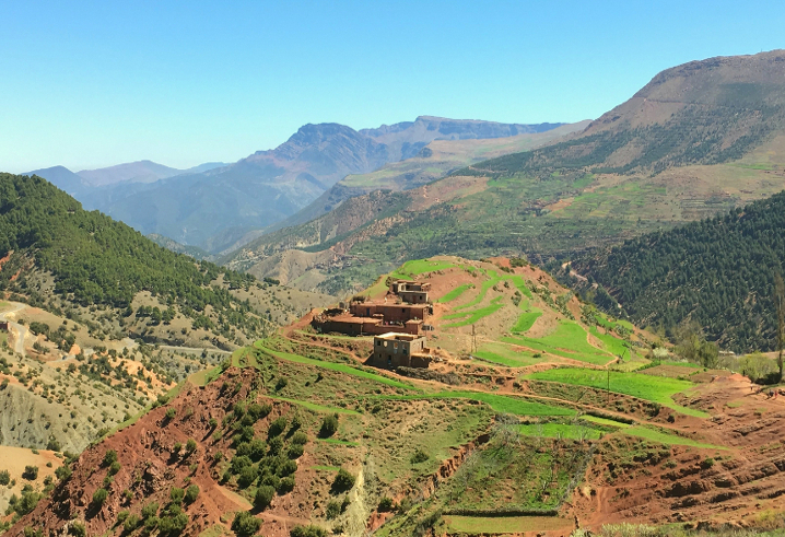 Attractive Tours