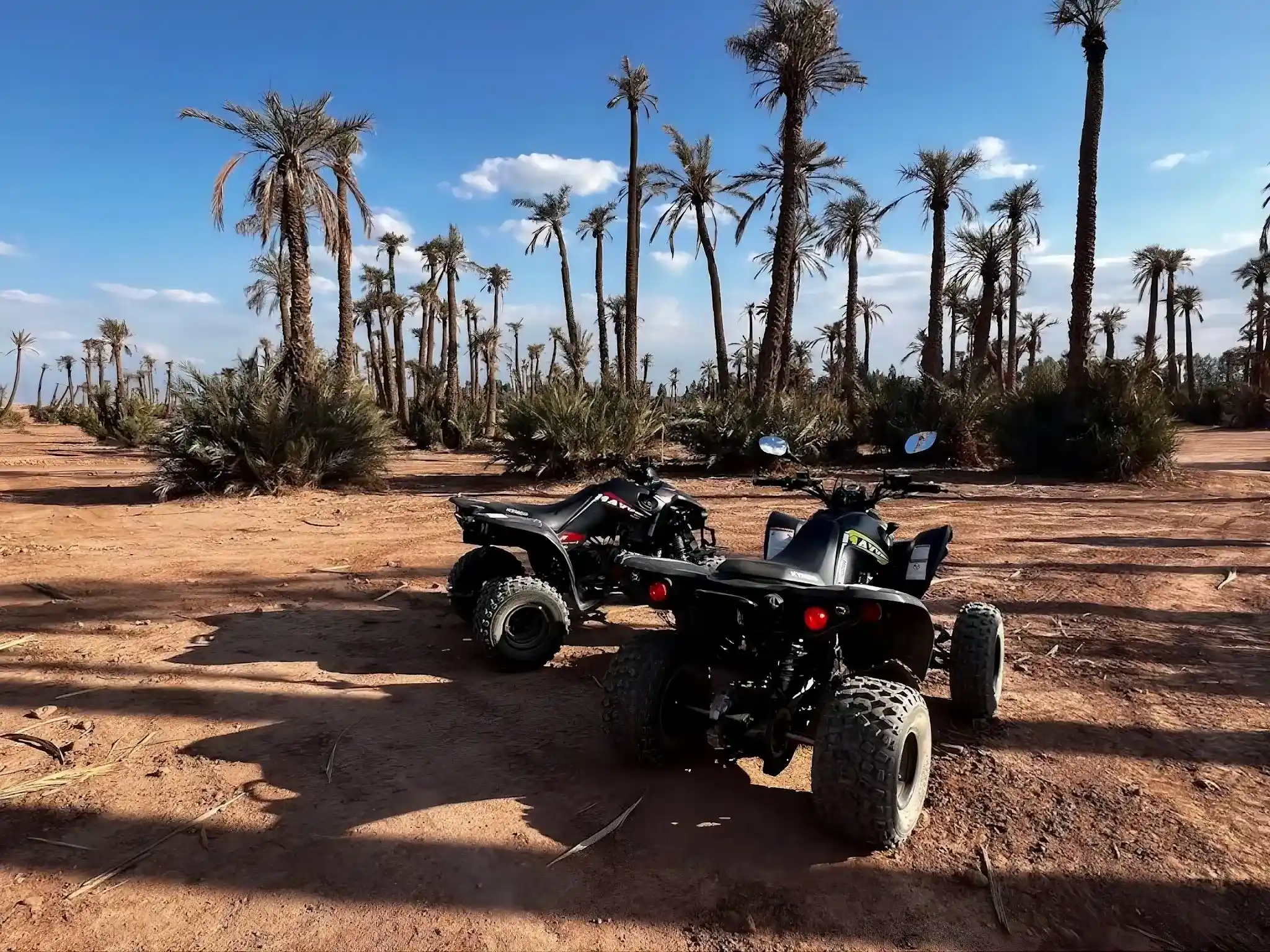 Excursions Quad Buggy & Chameau Marrakech