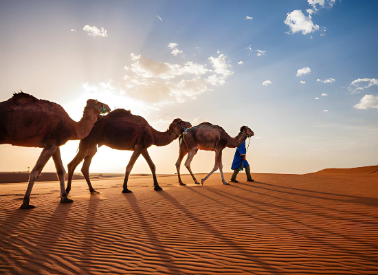 Samy Excursions Ouarzazate