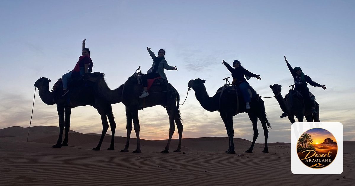 Desert Araouane Tours
