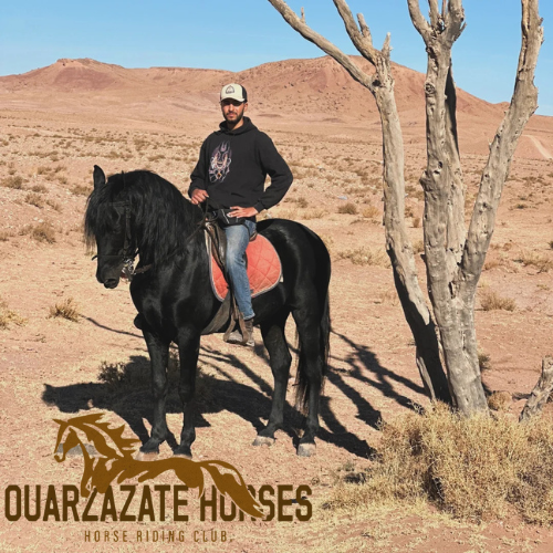 Ouarzazate Horses Officiel