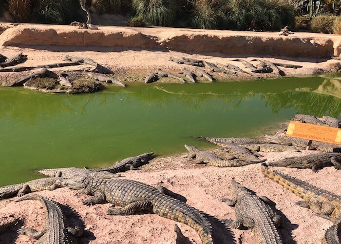 Agadir Excursions Transfers - Beach Tours