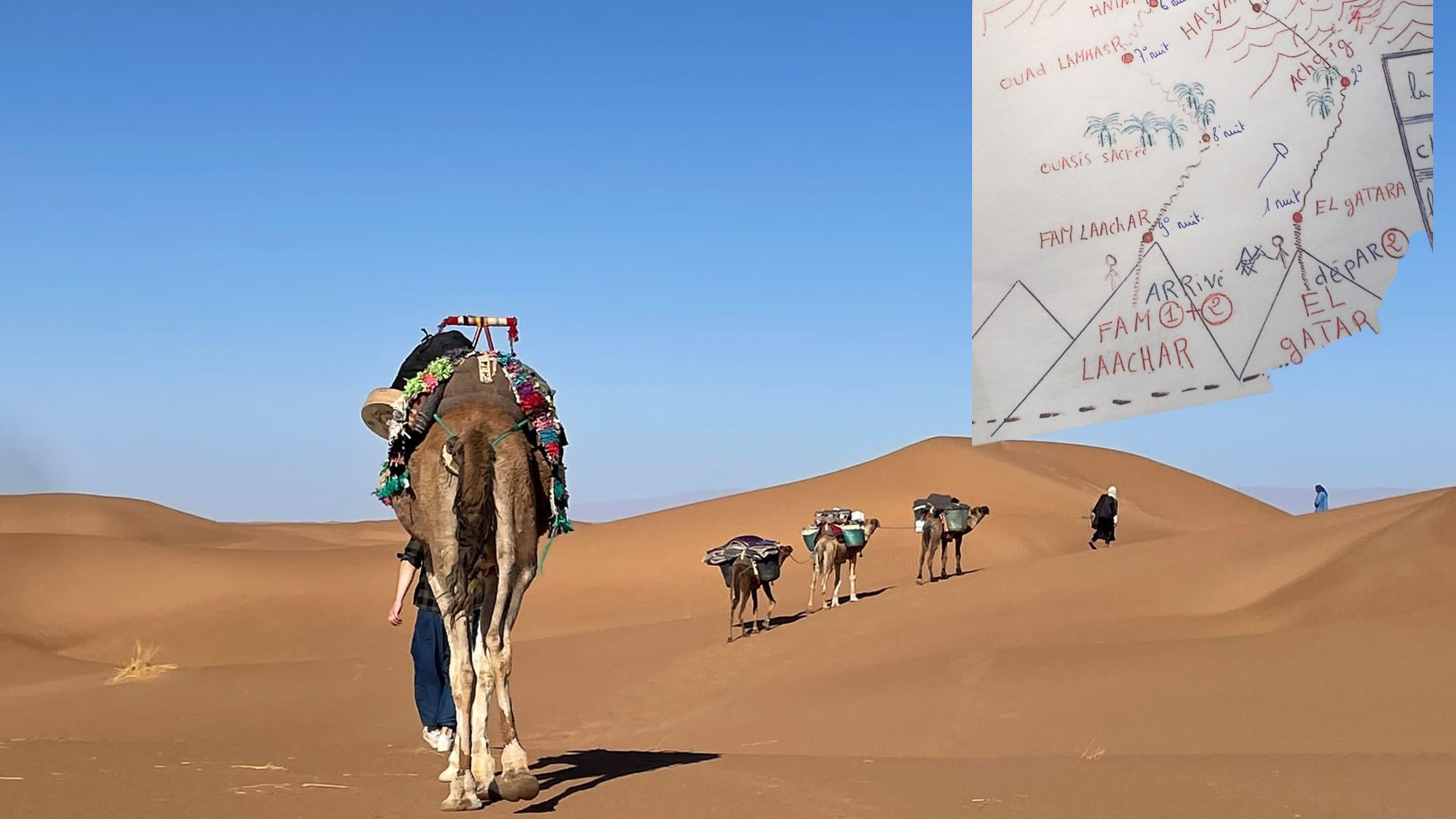 Fleur du desert trekking