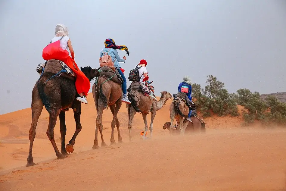 Morocco Tours Services