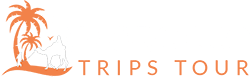 Logo de Morocco trips tour