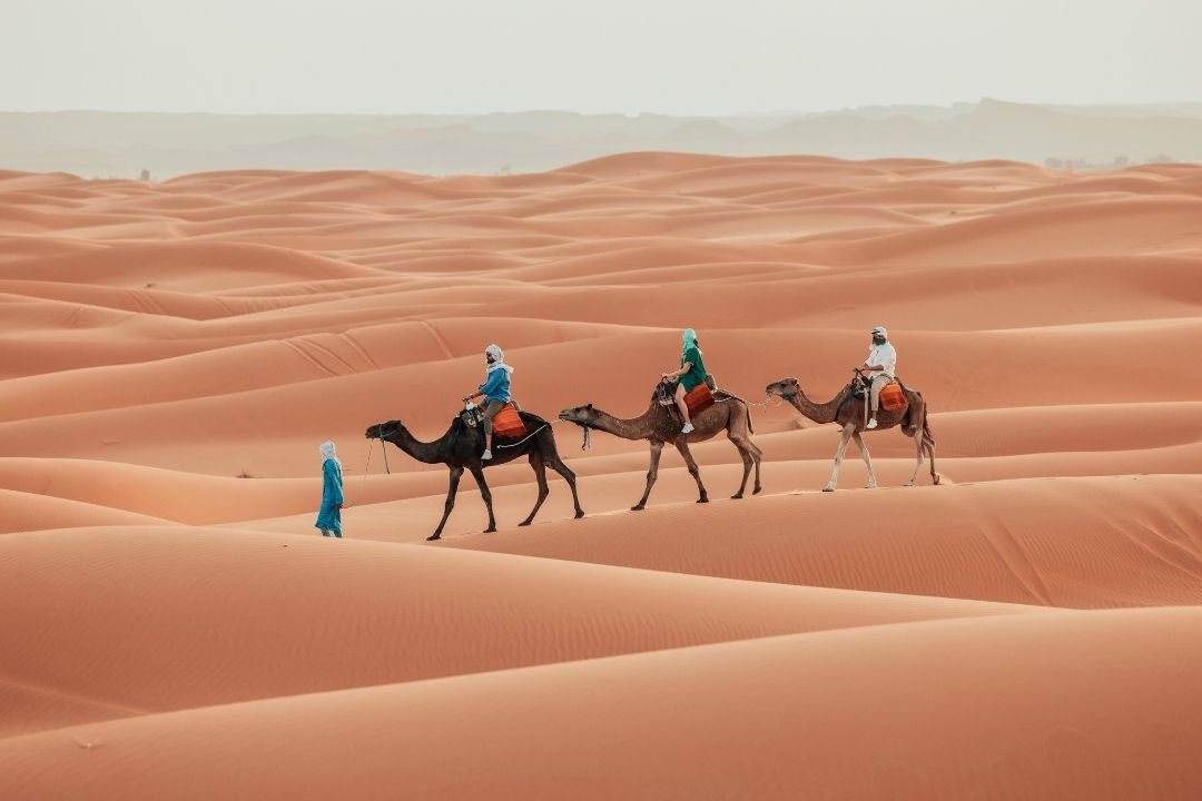 Morocco Desert Lines