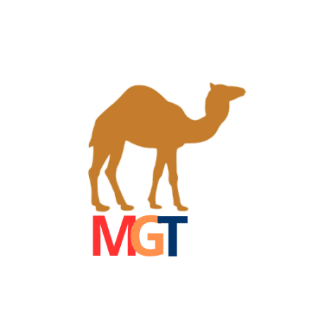 Morocco Gate Tours - Camel excursions